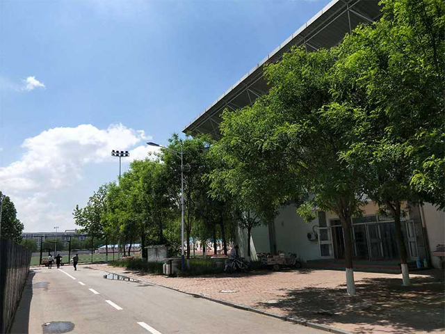 qiu_20180926194721-1